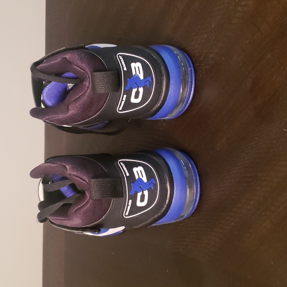 Air Force Max CB2 (Charles Barkley's) - Picture 4 of 6